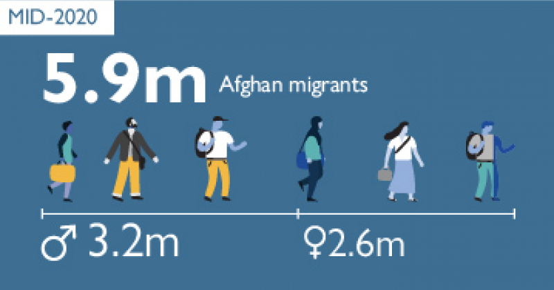 Afghan migrants by sex, mid-2020-small
